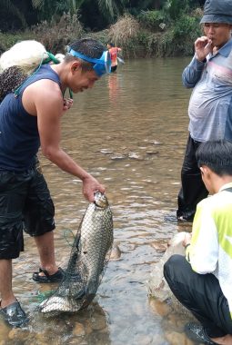 Aliran Sungai Batang Asam Jernih Dan Bersih Patut Di Apresiasi Oleh Pemerintah Daerah Bungo Dan Patut Dijadikan Contoh Bagi Desa lainnya.