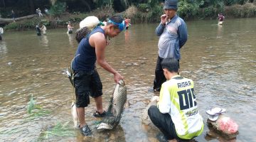 Aliran Sungai Batang Asam Jernih Dan Bersih Patut Di Apresiasi Oleh Pemerintah Daerah Bungo Dan Patut Dijadikan Contoh Bagi Desa lainnya.