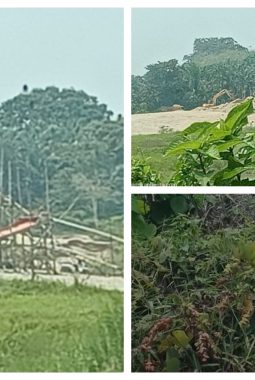 Aktivitas PETI Merajalela Di Wilayah Tanjung Menanti, Pinggiran Kota Bungo