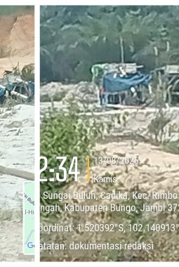 Aktivitas PETI Terbuka di Jalan Sungai Buluh Candika, Rimbo Tengah: Instansi Diduga Tutup Mata, Beroperasi Dekat Masjid