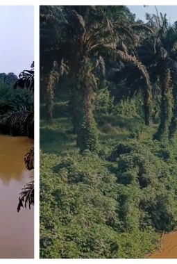 Sungai Batang Senamat Penuh Lumpur, Warga Sungai Beringin & Sekampil Alami Gatal-Gatal