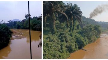 Sungai Batang Senamat Penuh Lumpur, Warga Sungai Beringin & Sekampil Alami Gatal-Gatal